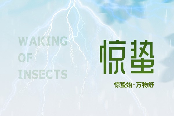 時至驚蟄 | 春雷始鳴，萬物生機盎然